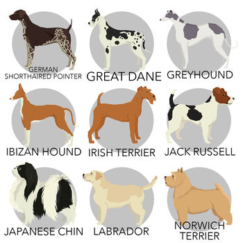 Personalised Dog Print Various Different Breeds, 6 of 8