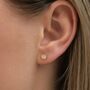 5mm Gold Plated Sterling Silver Textured Disc Stud Earrings, thumbnail 2 of 7