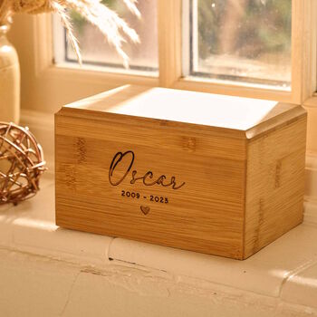 image of the product related to this review