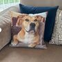 Personalised Custom Pet Photo Cushion In Soft Chenille, thumbnail 3 of 12