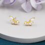 Sterling Silver White Opal Marquise Cluster Stud Earrings, thumbnail 6 of 12