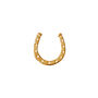 Horseshoe Lapel Pin – Silver/Gold, thumbnail 1 of 5