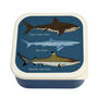 Set Of Three Shark Theme Snack Boxes, thumbnail 3 of 9