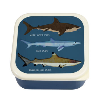 Set Of Three Shark Theme Snack Boxes, 3 of 9