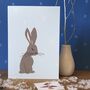 Winter Hare Christmas Card Or Multipack, thumbnail 1 of 4