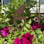 Blackbird Decoration For Home Or Garden , Sign , Ornament , Feature , Gift Or Present, thumbnail 4 of 7