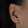 Little Solid Gold Star Studs, thumbnail 6 of 7
