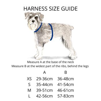 Rainbow Dotty Dog Harness, 4 of 6