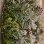 Forest Foraged Luxury Christmas Door Wreath, thumbnail 2 of 4