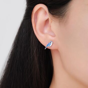 Blue Jay Sterling Silver Stud Earrings, 6 of 11