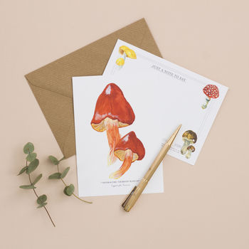 Mushrooms And Toadstools Illustrated Notelet Set, 3 of 7