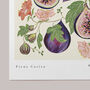 Floral Figs Art Print, thumbnail 3 of 5