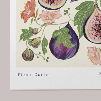 Floral Figs Art Print, 3 of 5