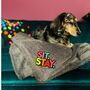 Sit Stay Dog Blanket, thumbnail 1 of 2
