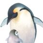 Illustrated Children's Wall Art Print Penguin And Chick, thumbnail 2 of 4