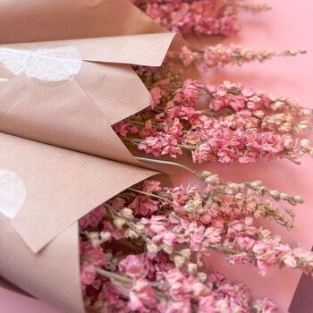 Dried Pink Delphiniums, 2 of 4