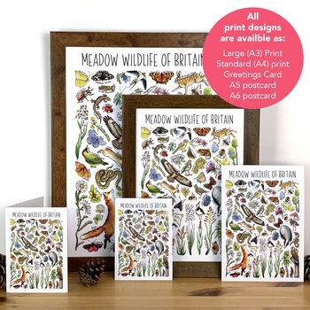 Meadow Wildlife Of Britain Greeting Card, 2 of 8