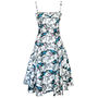 Chicago Fit And Flare Dress In Bird Print, thumbnail 4 of 4