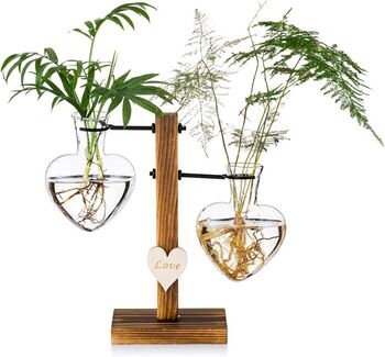 Glass Hydroponic Plant Vases Terrarium With Stand, 2 of 7