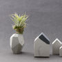 Rubra Air Plant Concrete Copper Rock Gift Box, thumbnail 7 of 11