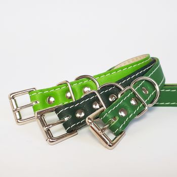 Soft Leather Small Dog Collar, 6 of 8