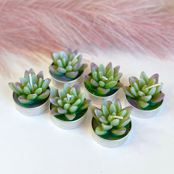 Agave Succulent Tealight Candle Gift Set, 5 of 9