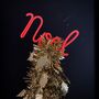 Noel Neon Coral Rope Word Sign, thumbnail 2 of 3