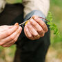 Forage And Feast Experience In The Northwest For Two, thumbnail 1 of 12