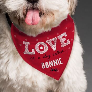 Personalised Love Is Dog Bandana, 3 of 3