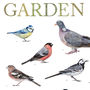 British Garden Birds Illustrated Print, thumbnail 3 of 6