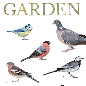 British Garden Birds Illustrated Print, 3 of 6