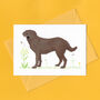 Charlie The Chocolate Labrador Blank Greeting Card, thumbnail 3 of 10