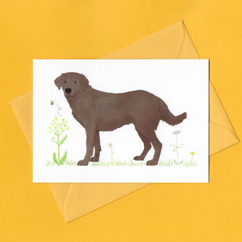 Charlie The Chocolate Labrador Blank Greeting Card, 3 of 10