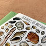 Seashells Of Britain Art Blank Greeting Card, thumbnail 10 of 12