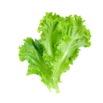 Salad Plants Six Month Subscription Package, 2 of 5