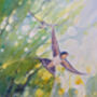 Summer Harbingers, thumbnail 5 of 8
