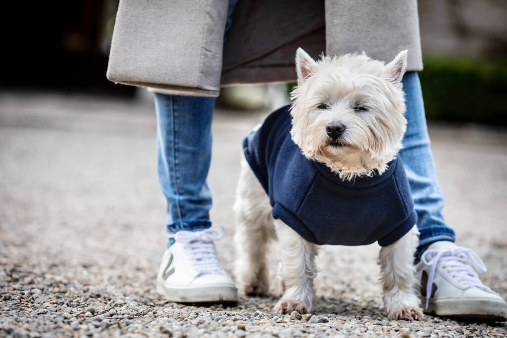 Westie Polartec Water Resistant Dog Coat, 1 of 5