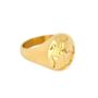 Mens Gold Plated Stainless Steel World Map Ring For Men, thumbnail 5 of 12