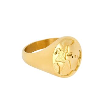 Mens Gold Plated Stainless Steel World Map Ring For Men, 5 of 12