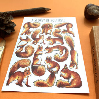 Red Squirrels Wildlife Watercolour Postcard, 6 of 10