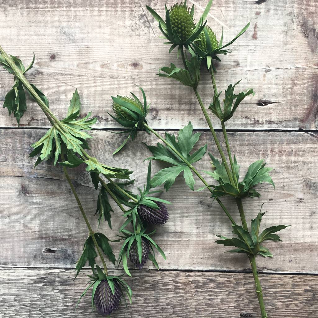 Artificial Eryngium Thistle By The Contemporary Home
