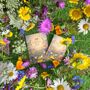 Welsh 'Superbloom' Wildflower Seed Christmas Gift Box, thumbnail 3 of 5