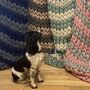 Striped Blanket Arm Knitting Kit, thumbnail 2 of 6