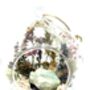 Dried Flowers And Fluorite Crystal Terrarium Kit, thumbnail 5 of 6