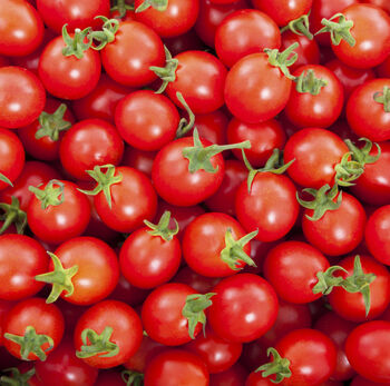 Tomato Plants 'Tumbling Tom Red' Three Plants In Pots, 5 of 5