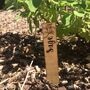 Wooden Herb Markers, thumbnail 3 of 4