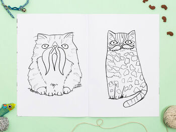 Colouring Book Set Of Five Funny Cat Colouring In Books, 4 of 6