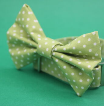 Green Polkadot Dog Bow Tie, 5 of 6