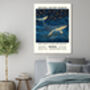 Natural History Exhibition Blue Whale Art Print, thumbnail 2 of 3