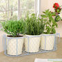 Vintage Style Planter Pots In Basket, thumbnail 1 of 6